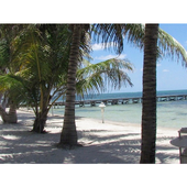 Travel Ambergris Caye Belize icon