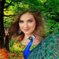 Peacock Photo Frames on 9Apps