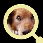 Close Up Animals Guess the Pet icon