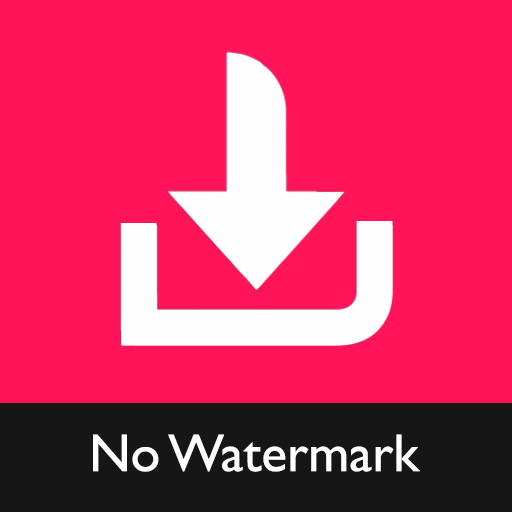 Video Downloader for TikTok - No Watermark TikMate icon