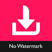 Video Downloader for TikTok - No Watermark TikMate