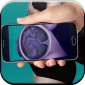 Pregnant App Test Simulator icon