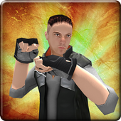 The Fighting King: 3D Arcade icon