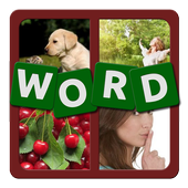 4 Pics 1 Word icon