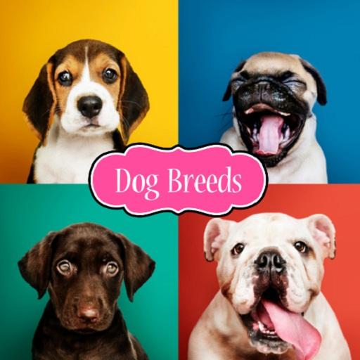 Dog Breeds icon