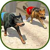 Angry Dogs Racing 2019