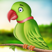 Talking Parrot 2019 icon