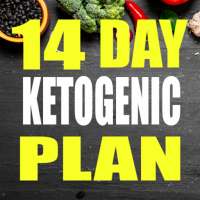 Keto Diet Plan For Weight Loss in 14 Days on 9Apps