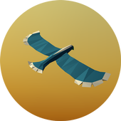 BIRD FLIGHT icon