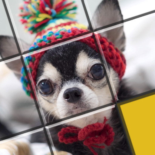 Slide ® - SlidePuzzle about dog, cat, cactus... icon