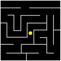 The Maze Puzzle