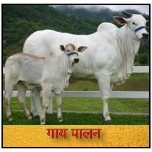 उन्नत गाय पालन - Cow Farming - Rearing icon