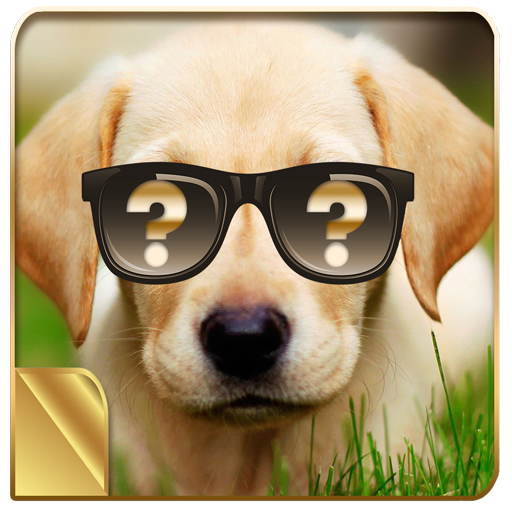 What's The Perfect Dog For Me? icon