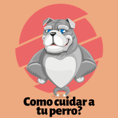Como cuidar a tu perro icon