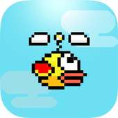 Birds Copters