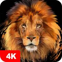 Hintergrundbilder mit Löwe 4K on 9Apps