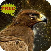 Golden Eagle Bird Simulator icon