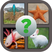 Guess the Animals Image Quiz icon