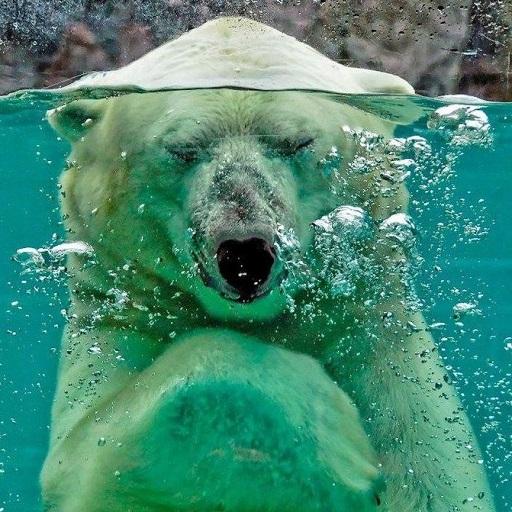 300 words aperitif icon