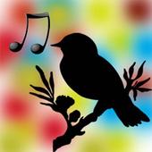 Bird Ringtons Sounds icon
