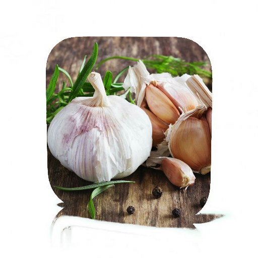 Garlic Supplement Benefits icon