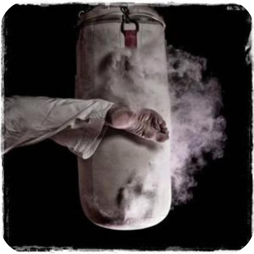 Martial Art Wallpaper icon