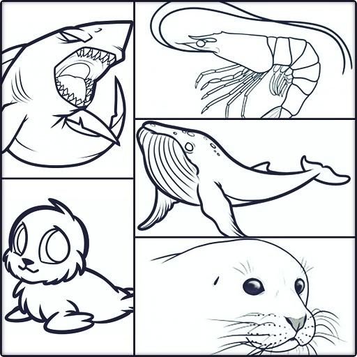 How To Draw Saltwater Fish icon