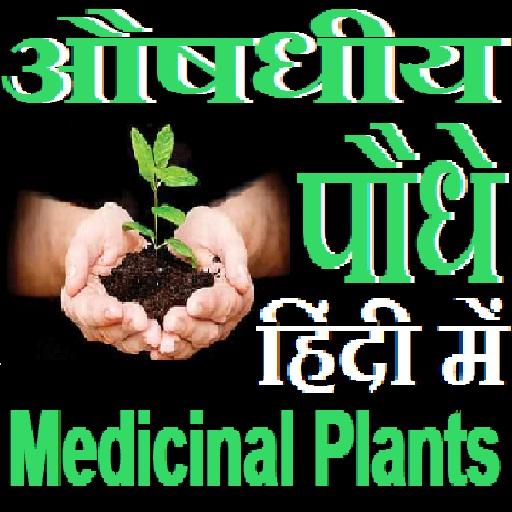ikon औषधीय पौधे - Medicinal Plants