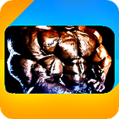 BodyBuilding Pro icon