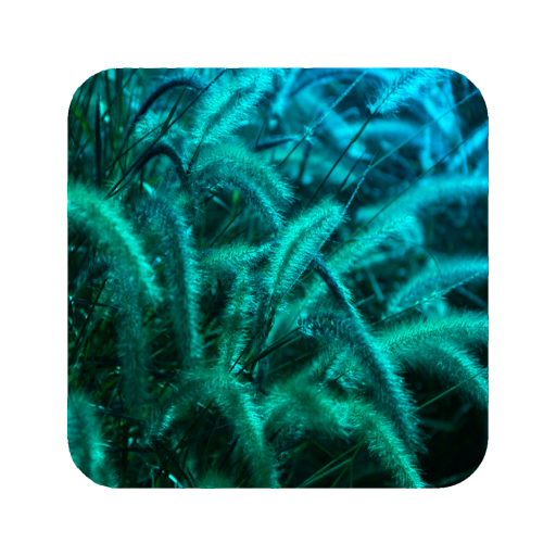 Teal Wallpaper icon