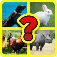 Guess The Animal (GTA)