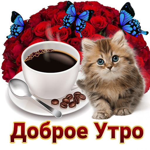 Открытки на все случаи жизни icon