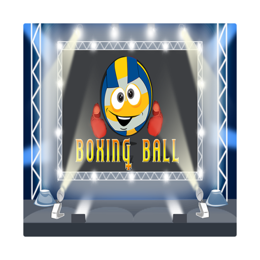 Boxing Ball icon