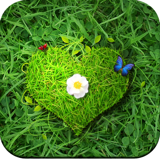 Green Wallpaper HD icon