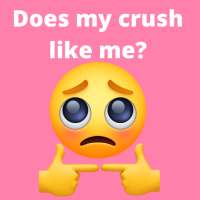 Does My Crush Like Me? Does He