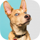 Photo Cut Studio X icon