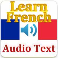french conversations vocabulary and grammar on 9Apps