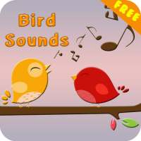 Bird Sounds on 9Apps