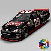 American Racing icon