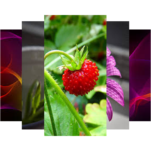 HDs Wallpaper 50k icon