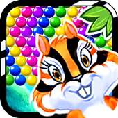 Chipmunk Bubble Shooter