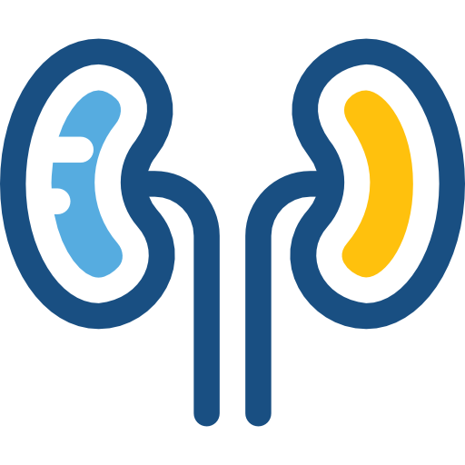 Dia Diary Free - Peritoneal Dialysis CAPD icon