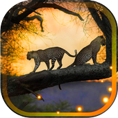 Jaguar Sounds live wallpaper icon