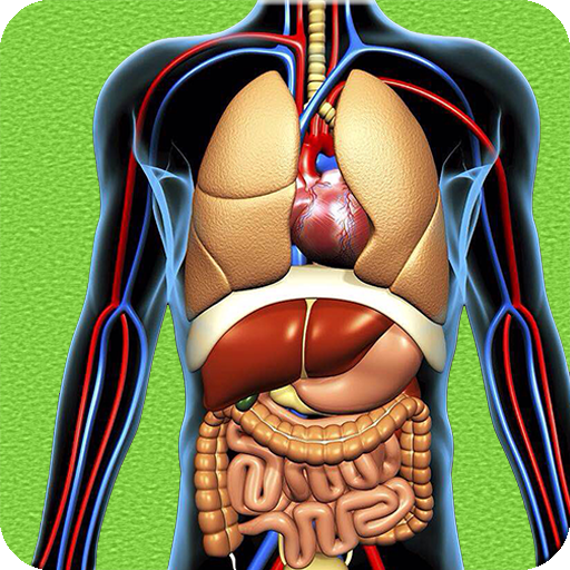 Human Anatomy Pro Trivia icon