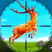 Wild Deer Hunter - Jungle new Hunting games