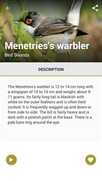 Birds Sound : Morocco screenshot 5