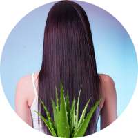 Hair Fall Control Tips Hindi