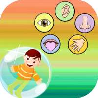 تعليم الحواس الخمسة on 9Apps