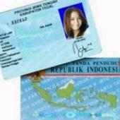 Cek data e-ktp online