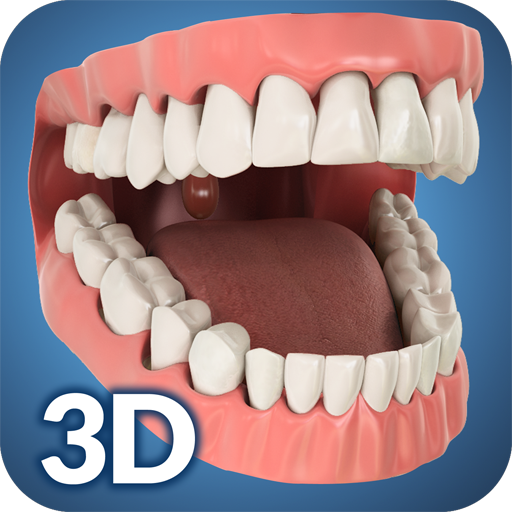 Dental Anatomy Pro. أيقونة